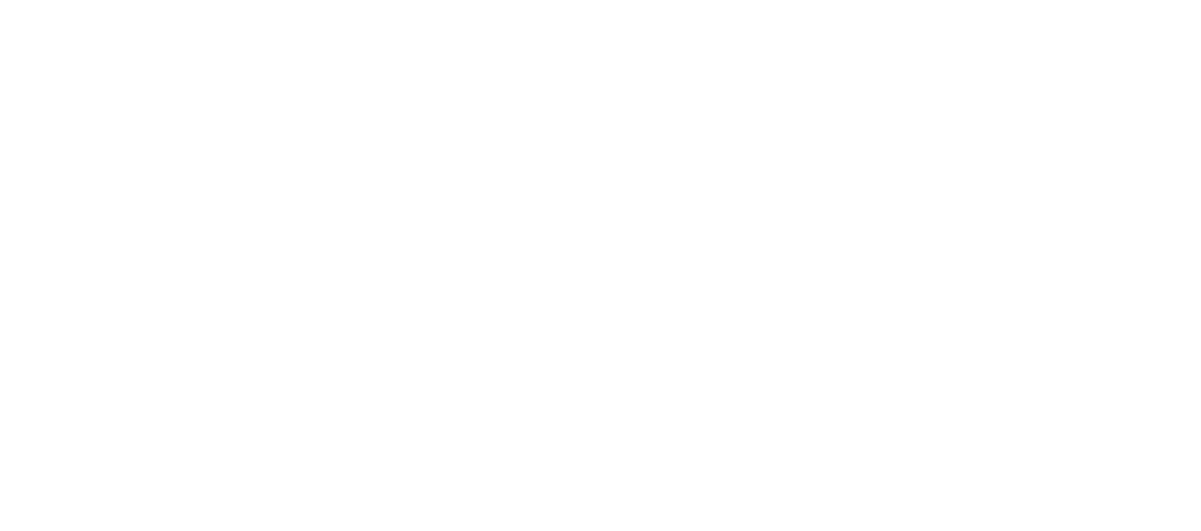 Master Capital